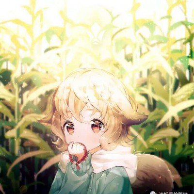 歌手浪姐联动